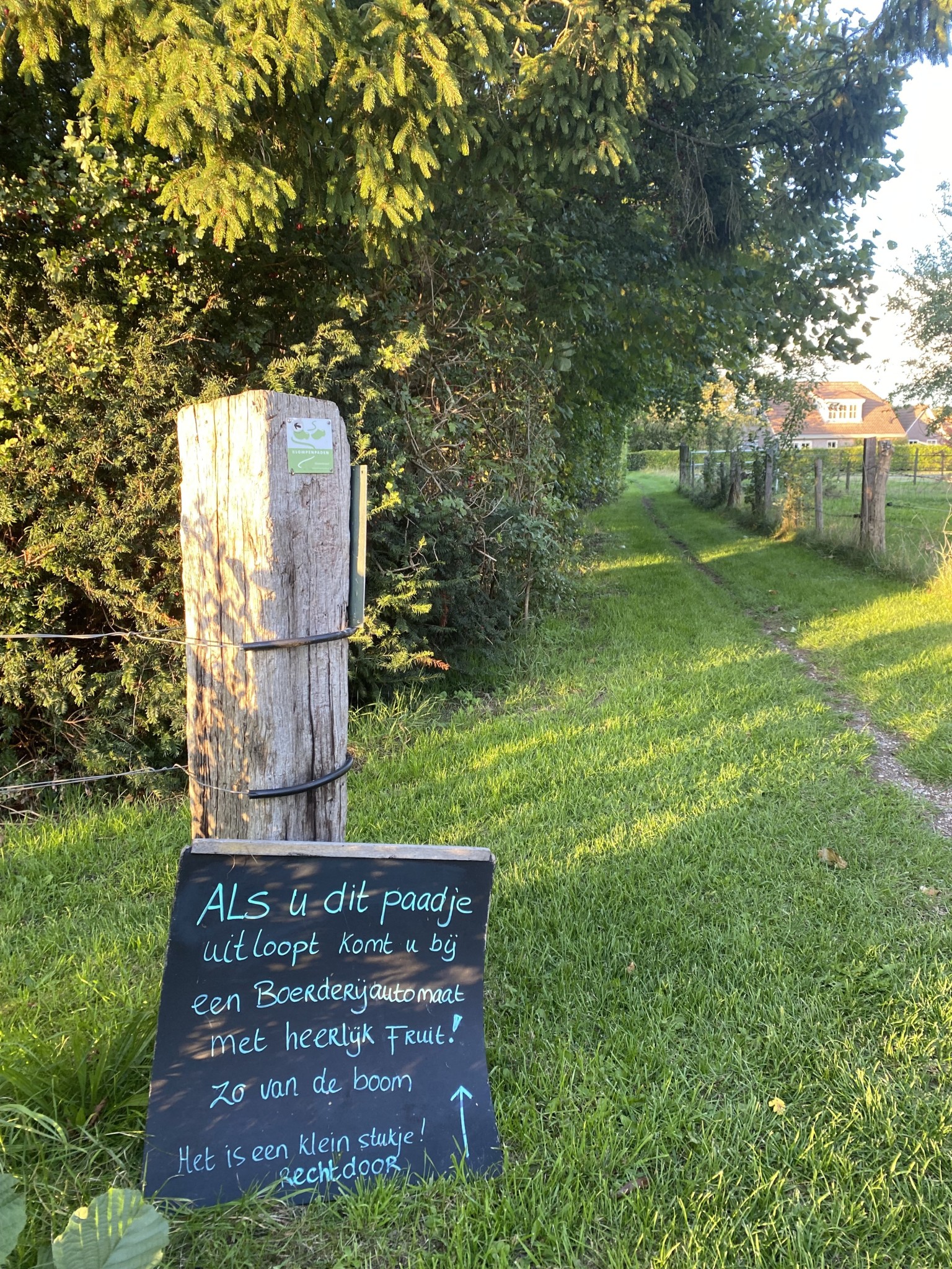 Huiskamp appels peren Veessen Elsvoorderpad