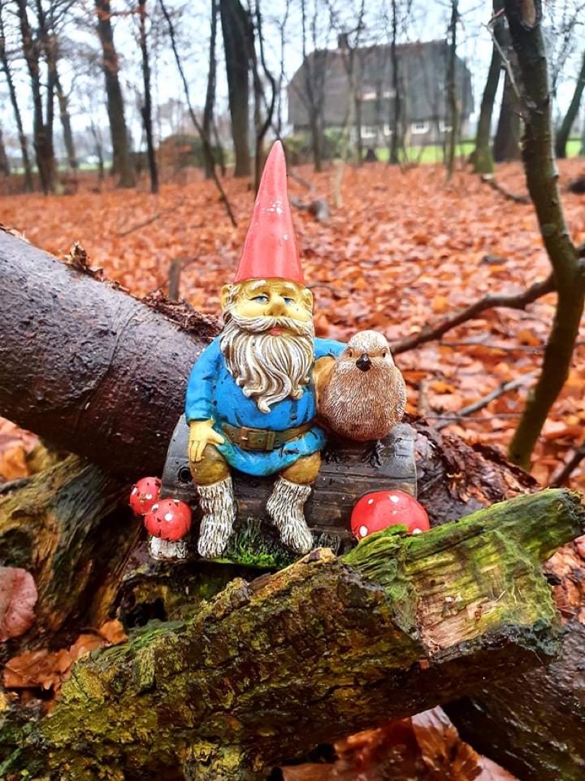 Kabouterbos Vosbergen